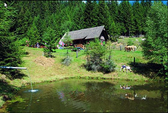 Panoramadorf Saualpe Hotel Eberstein ภายนอก รูปภาพ