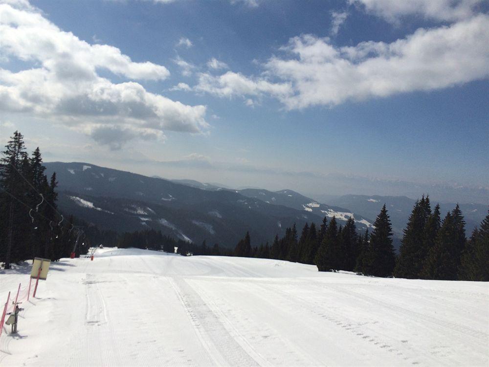 Panoramadorf Saualpe Hotel Eberstein ภายนอก รูปภาพ