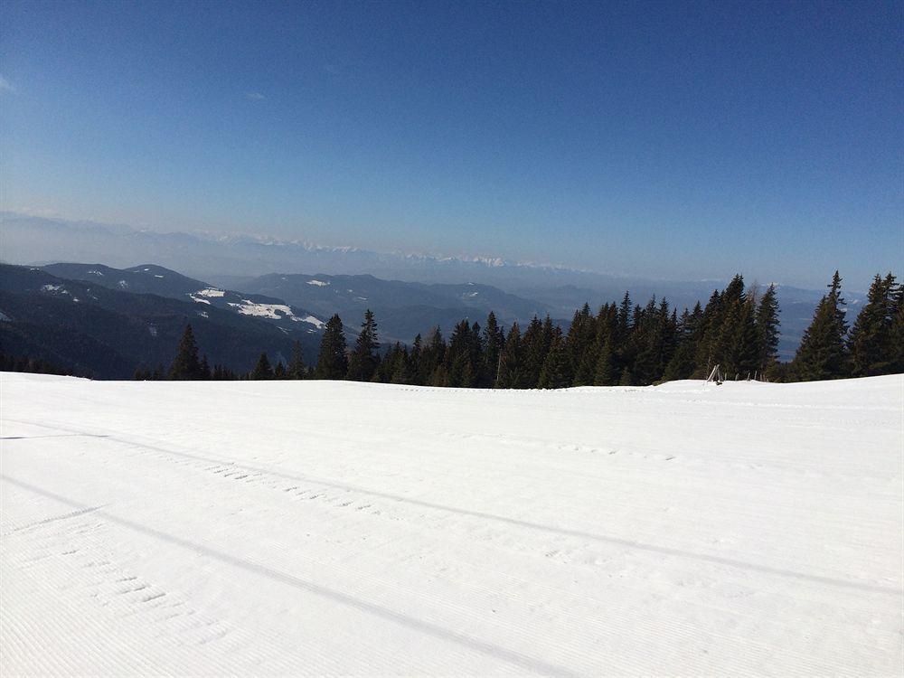 Panoramadorf Saualpe Hotel Eberstein ภายนอก รูปภาพ