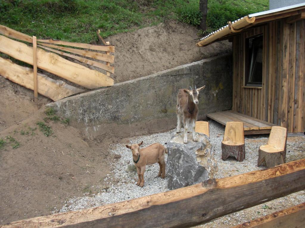 Panoramadorf Saualpe Hotel Eberstein ภายนอก รูปภาพ
